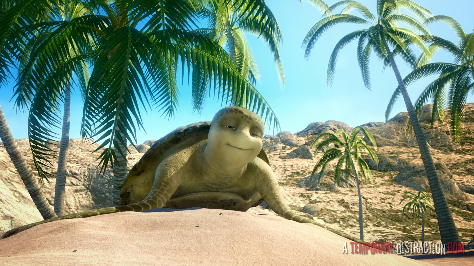 шевели ластами сэмми. шевели ластами 2. шевели ластами! (2010). шевели ластами 2. шевели ластами черепашка.